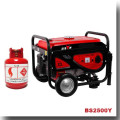 BISON(CHINA) Gas Power Air Cooled Engine Gas Electric Generator